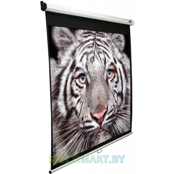 Проекционный экран Elite Screens Manual 170x209 (M100NWV1)